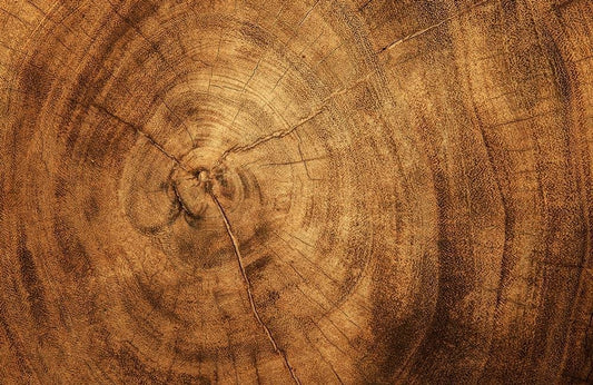 Cracked Wood Wall Murals