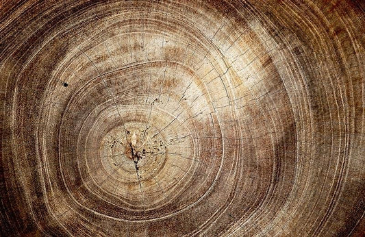 Crack Wood II Wall Murals