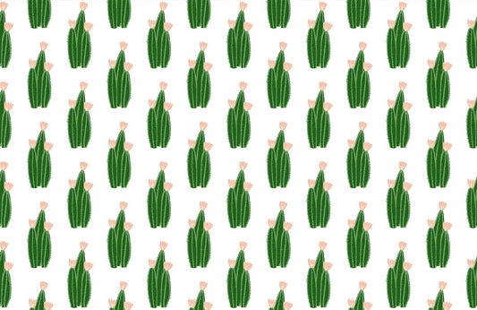 Cute Green Cactus Wall Murals