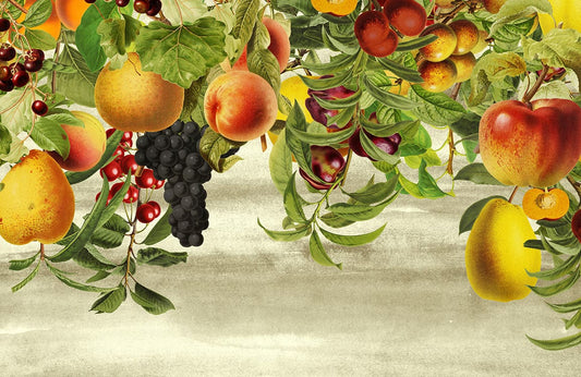 Dangling Fruits Wall Murals