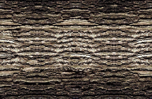 Dark Tree Bark Wall Murals