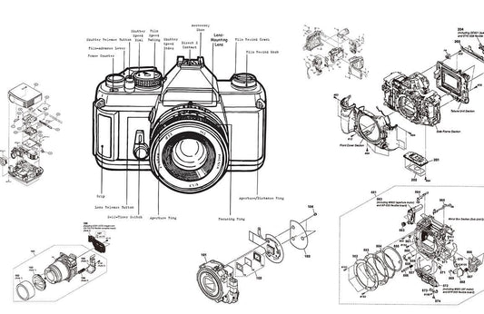 Digital Camera Wall Murals