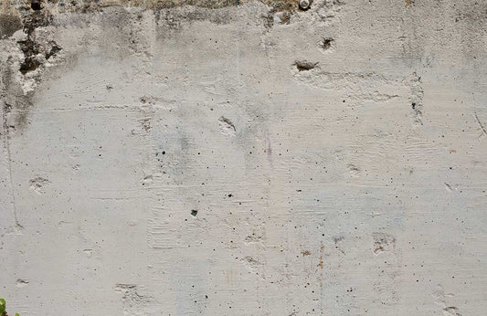 Mouldy Wall Wall Murals