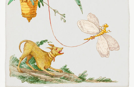 Dog Chasing Insects Wall Murals