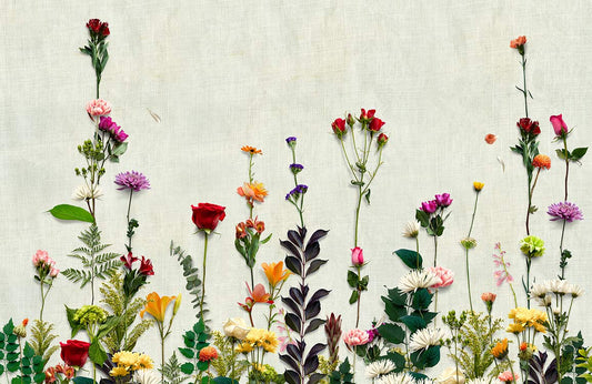 Dried Flower Bushes Wall Murals
