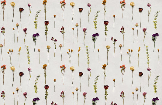 Dride Flowers Wall Murals