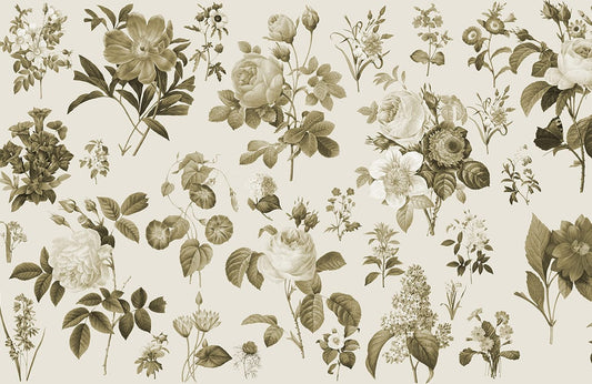 Blossoms Collection ll Wall Murals