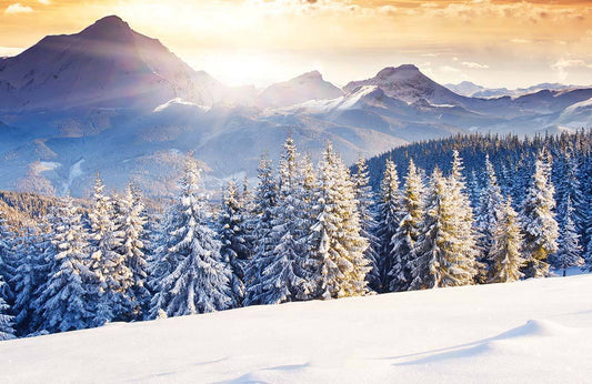 Fantastic Winter Landscape Wall Murals