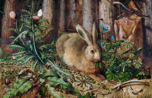 Forest Hare Wall Murals