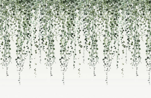 Fresh Vines Wall Murals