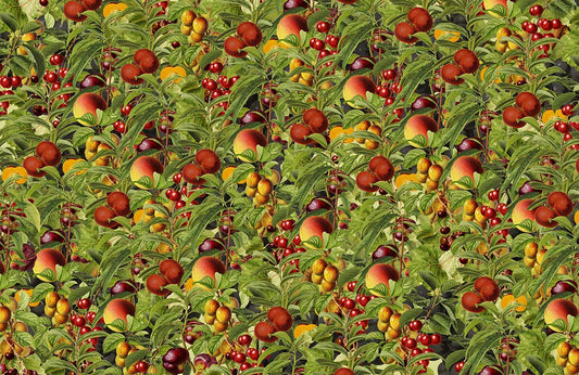 Fruit Harvest Wall Murals