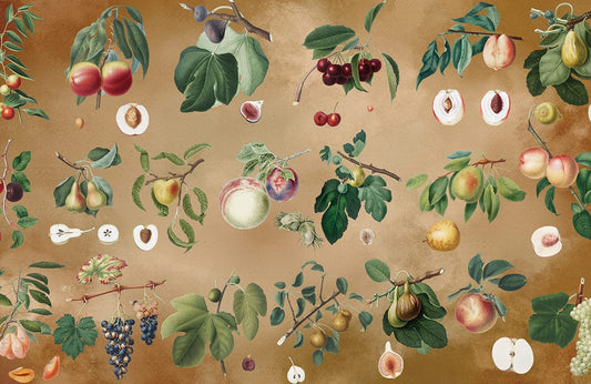 Fruites Collection Wall Murals