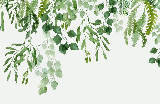 Green Vines Wall Murals