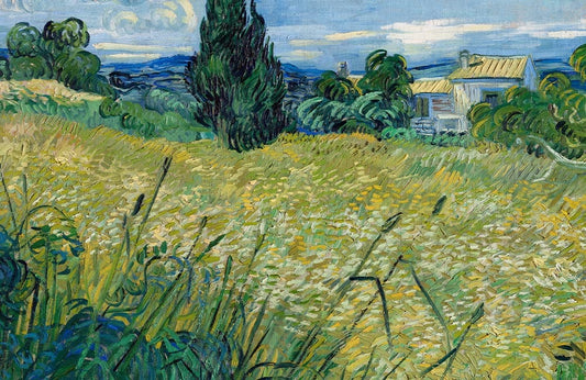 Green Wheat Field Wall Murals