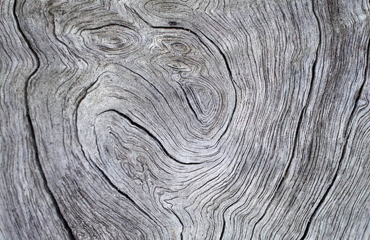 Grey Wood Grain Wall Murals
