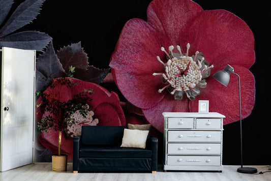 Hellebore Wall Murals