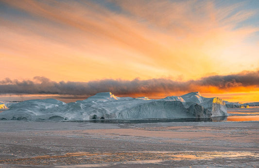 Ice Covering Wall Murals