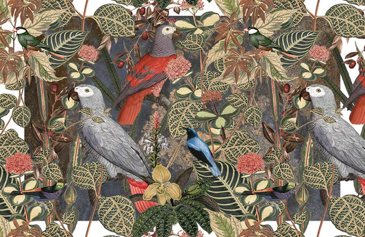 Jungle Bird Wall Murals
