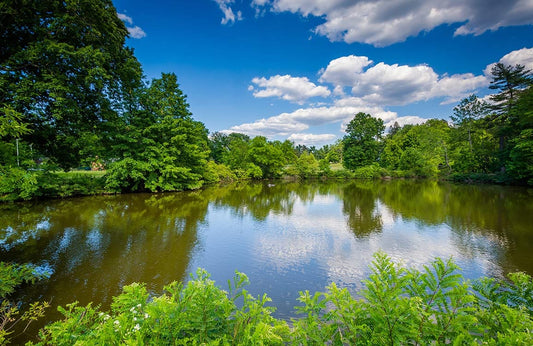 Lake Scenery Wall Murals