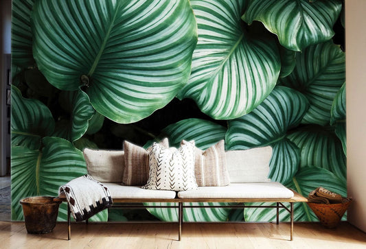 Large Tropical Leaves Wall Murals