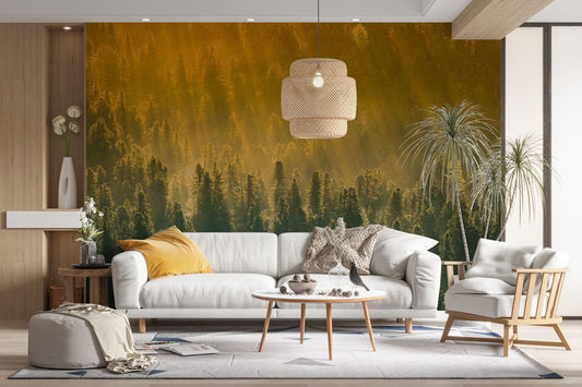 Look Down Forest Wall Murals