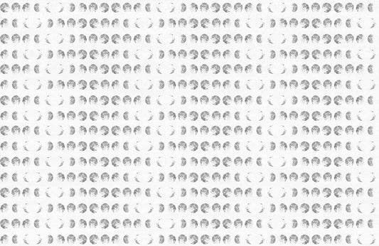 Moon Changes Wall Murals