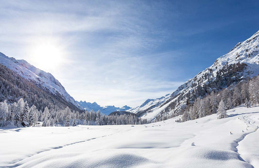 Mountain View after the Snow Wall Murals