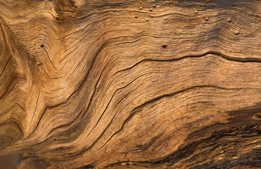 Natural Wood Wall Murals