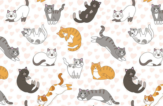 Naughty Cats Wall Murals