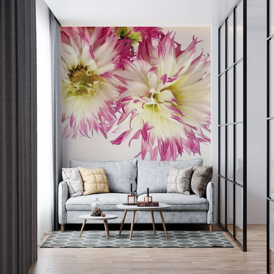 Ombre Dahlia Wall Murals