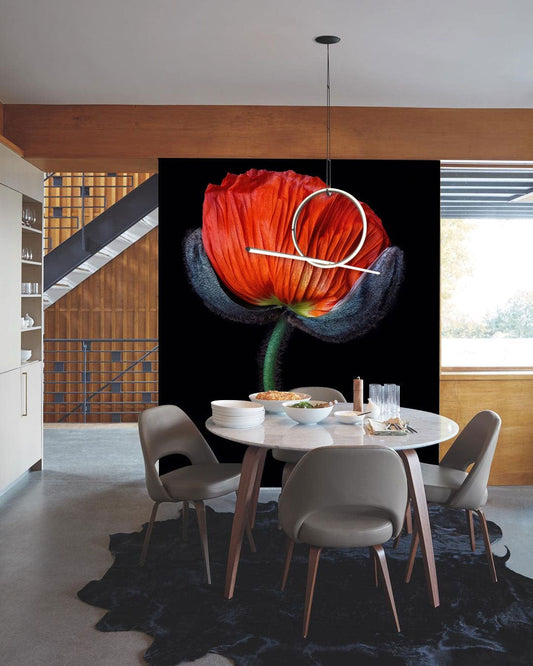 One Poppy Wall Murals