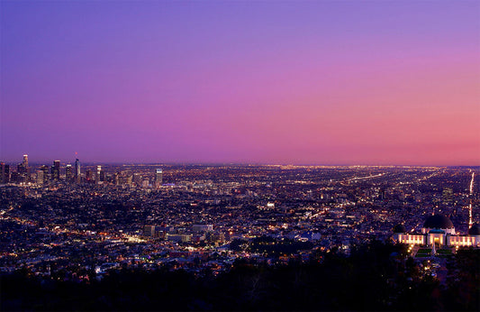 Overlooking Los Angeles Wall Murals