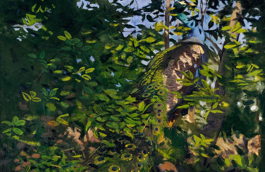 Peacock in the Woods Wall Murals
