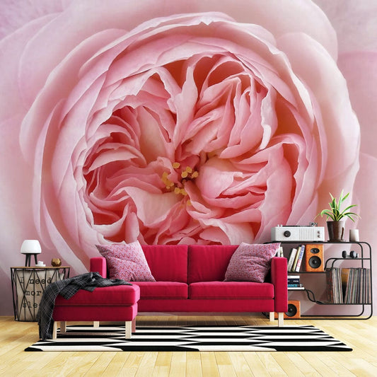 Petal Center Wall Murals