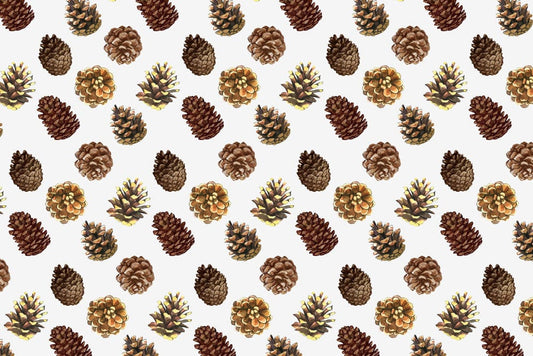 Pine Cones Wall Murals