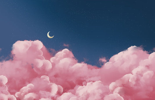 Pink Clouds Wall Murals