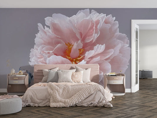 Pink Peony Aroma Wall Murals