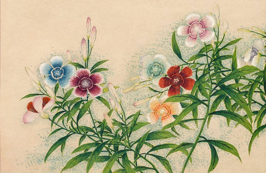 Pinks Wall Murals