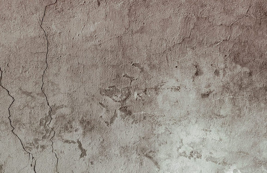 Plaster Stucco Wall Murals