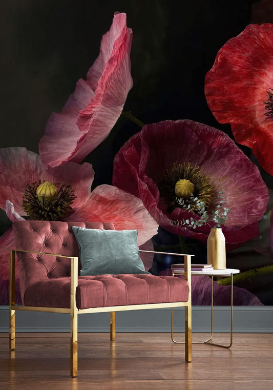 Poppy Petal Wall Murals