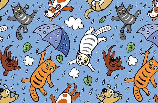 Raining Cats & Dogs Wall Murals