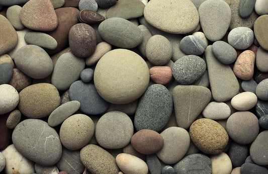 Ellipse Pebble Wall Murals