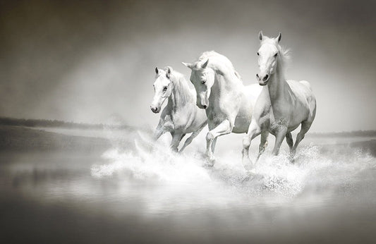 Running Horses Wall Murals