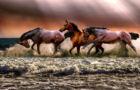 Running Horses Wall Murals