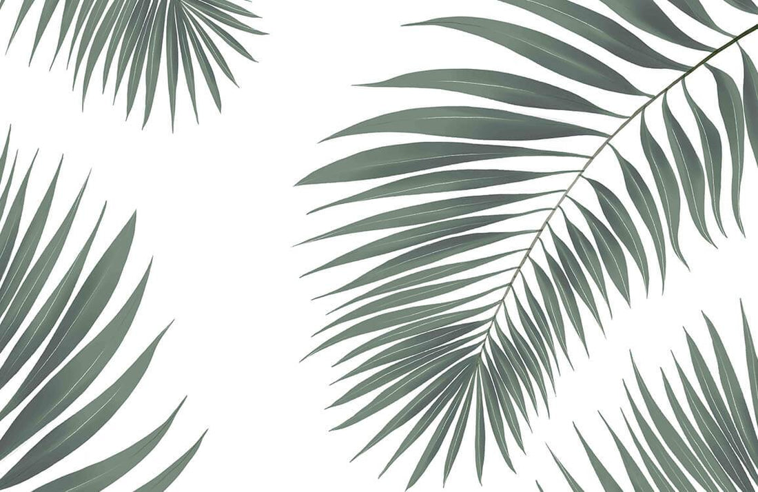 Falling Palms Wall Murals