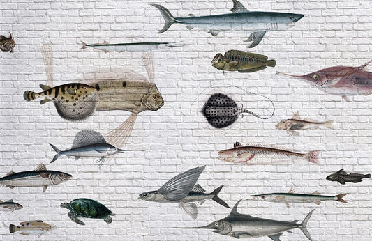 Sea Fish Wall Murals