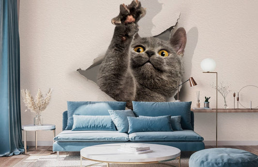 Stretching Kitty Wall Murals