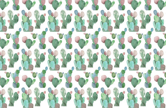 Small Cactus Wall Murals