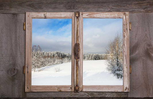 Snow Landscape Wall Murals
