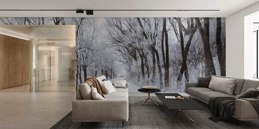 Snow Forest Path Wall Murals